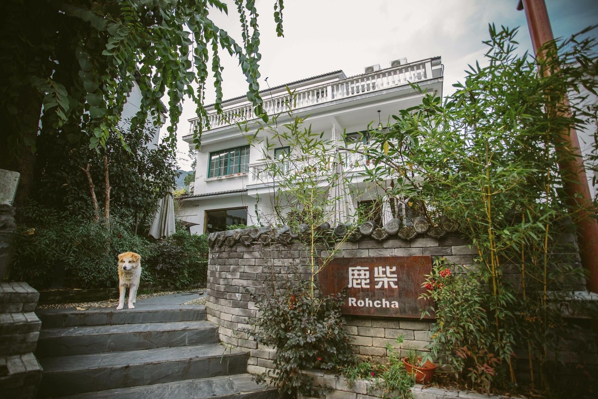Rohcha Inn Hangzhou Extérieur photo